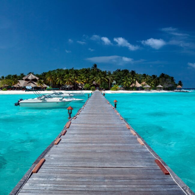 The Maldives